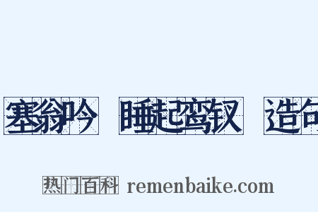 塞翁吟·睡起鸾钗亸造句是什么意思的图片